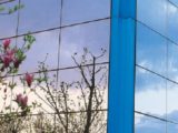 offerte di lavoro gruppo ama posizioni richieste