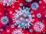 coronavirus necessario ancora sistanziamento sociale