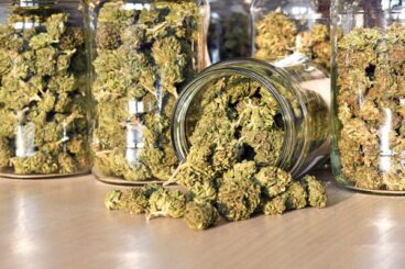 Cannabis light, Regioni contro Governo per difendere indotto